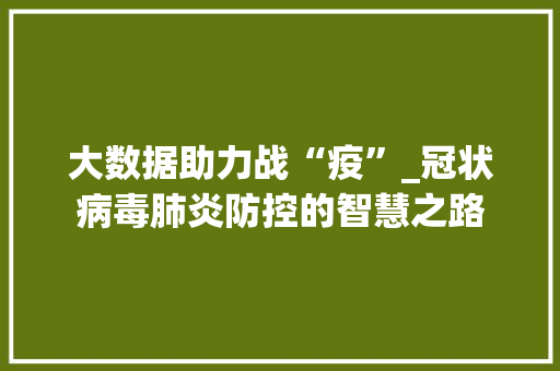 大数据助力战“疫”_冠状病毒肺炎防控的智慧之路 建站教程