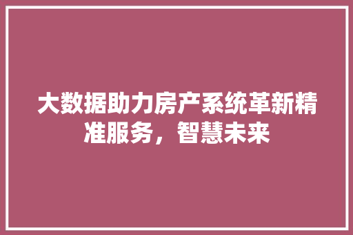 大数据助力房产系统革新精准服务，智慧未来