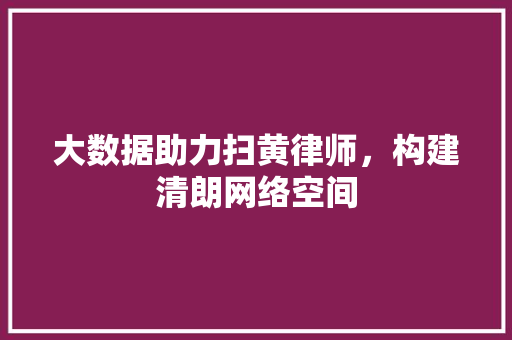 大数据助力扫黄律师，构建清朗网络空间
