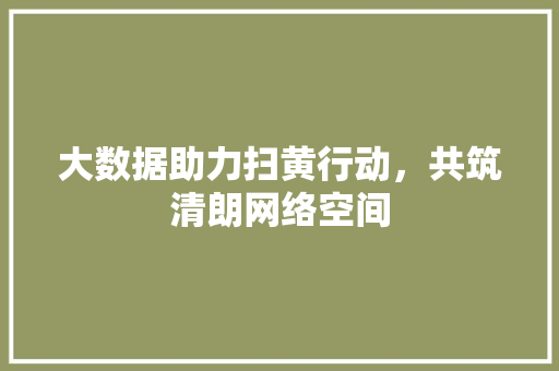 大数据助力扫黄行动，共筑清朗网络空间