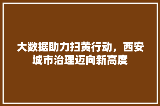 大数据助力扫黄行动，西安城市治理迈向新高度