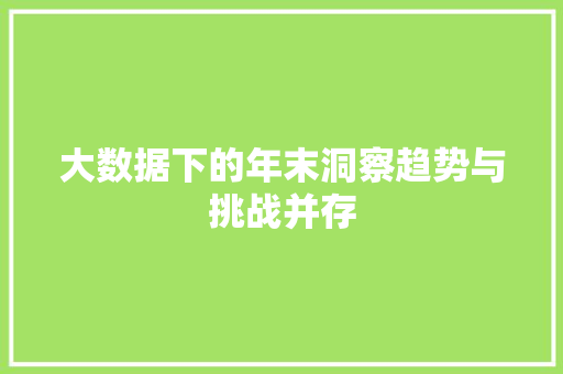大数据下的年末洞察趋势与挑战并存