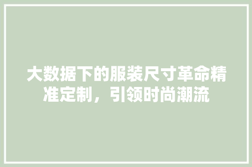 大数据下的服装尺寸革命精准定制，引领时尚潮流