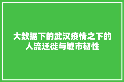 大数据下的武汉疫情之下的人流迁徙与城市韧性