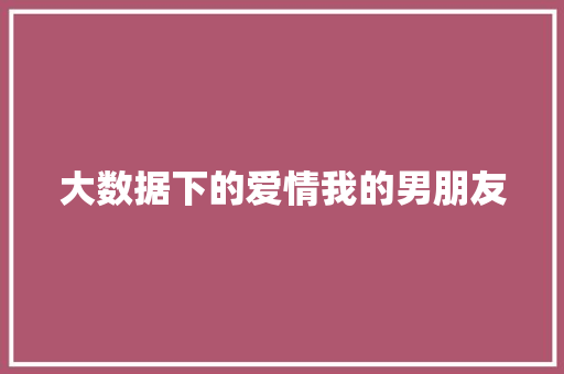 大数据下的爱情我的男朋友