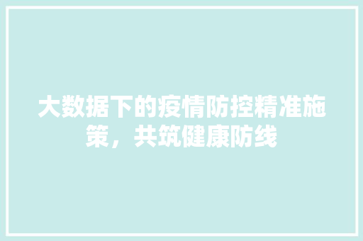 大数据下的疫情防控精准施策，共筑健康防线