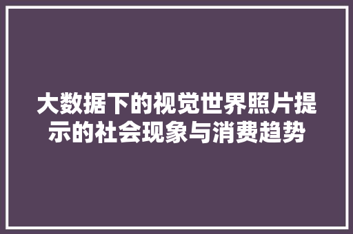 大数据下的视觉世界照片提示的社会现象与消费趋势