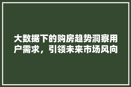大数据下的购房趋势洞察用户需求，引领未来市场风向标