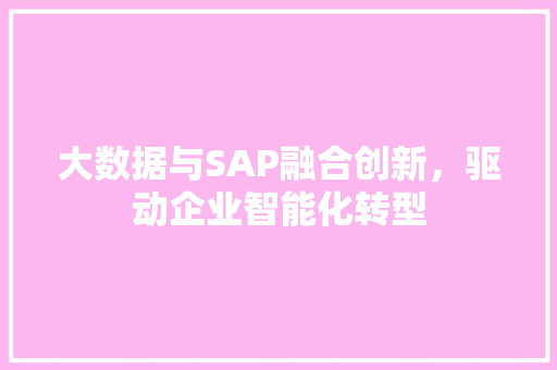 大数据与SAP融合创新，驱动企业智能化转型