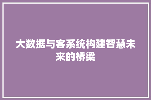 大数据与客系统构建智慧未来的桥梁