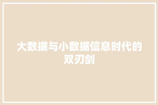 大数据与小数据信息时代的双刃剑