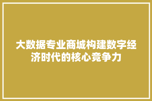 大数据专业商城构建数字经济时代的核心竞争力