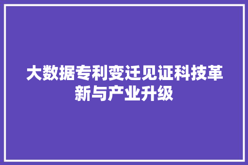 大数据专利变迁见证科技革新与产业升级