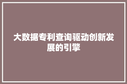 大数据专利查询驱动创新发展的引擎