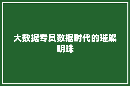 大数据专员数据时代的璀璨明珠