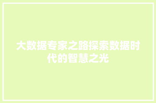 大数据专家之路探索数据时代的智慧之光 友链在线