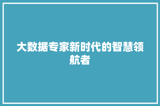 大数据专家新时代的智慧领航者
