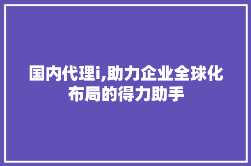 国内代理i,助力企业全球化布局的得力助手
