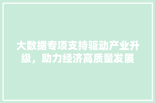 大数据专项支持驱动产业升级，助力经济高质量发展