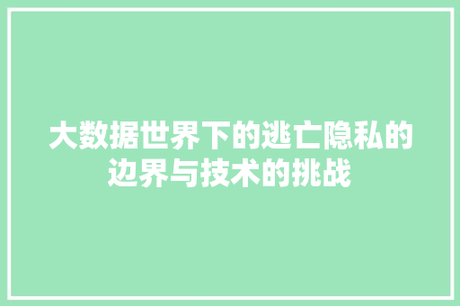 大数据世界下的逃亡隐私的边界与技术的挑战