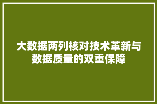 大数据两列核对技术革新与数据质量的双重保障