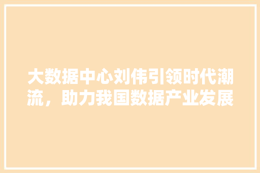 大数据中心刘伟引领时代潮流，助力我国数据产业发展