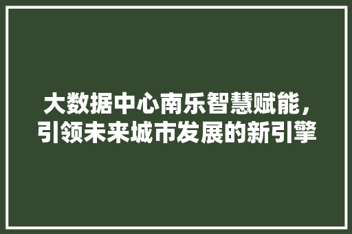 大数据中心南乐智慧赋能，引领未来城市发展的新引擎