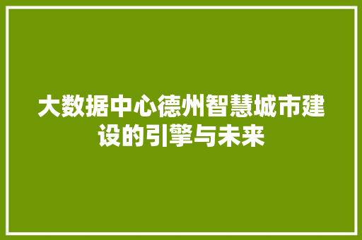 大数据中心德州智慧城市建设的引擎与未来