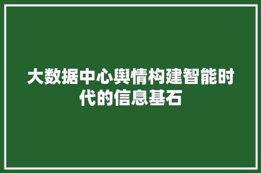 大数据中心舆情构建智能时代的信息基石