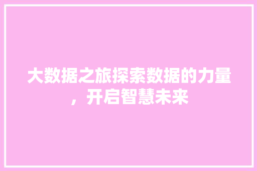 大数据之旅探索数据的力量，开启智慧未来