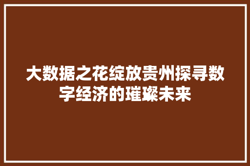 大数据之花绽放贵州探寻数字经济的璀璨未来