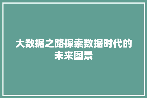 大数据之路探索数据时代的未来图景