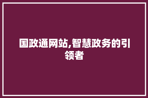 国政通网站,智慧政务的引领者