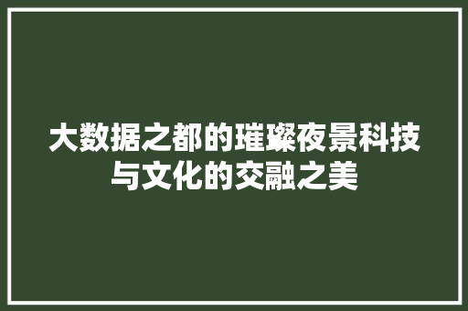 大数据之都的璀璨夜景科技与文化的交融之美