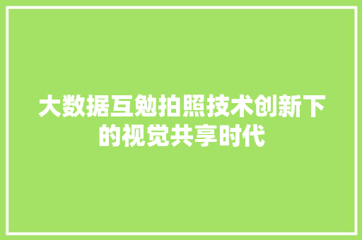 大数据互勉拍照技术创新下的视觉共享时代