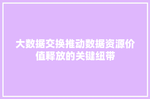 大数据交换推动数据资源价值释放的关键纽带