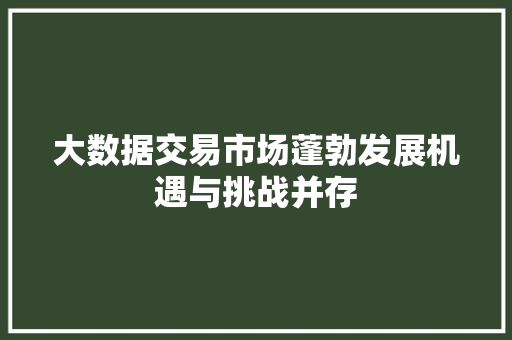 大数据交易市场蓬勃发展机遇与挑战并存