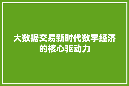 大数据交易新时代数字经济的核心驱动力