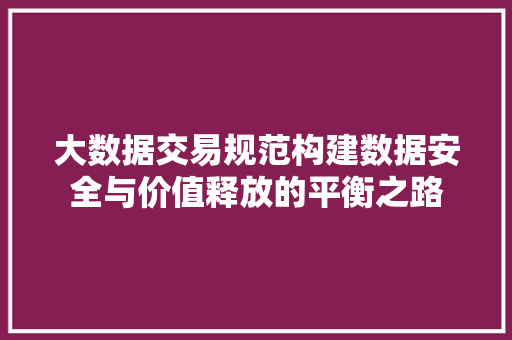 大数据交易规范构建数据安全与价值释放的平衡之路