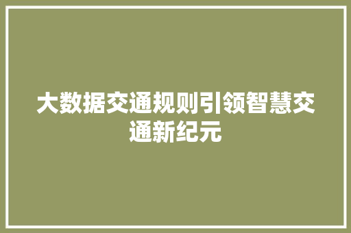 大数据交通规则引领智慧交通新纪元