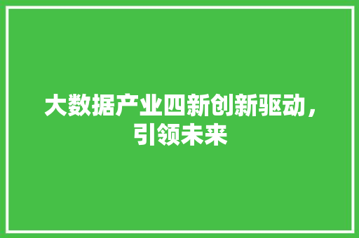 大数据产业四新创新驱动，引领未来