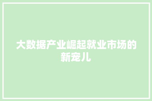 大数据产业崛起就业市场的新宠儿