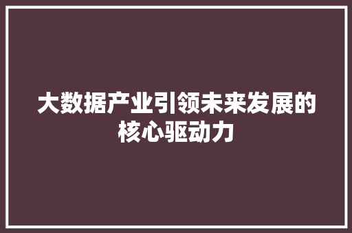 大数据产业引领未来发展的核心驱动力