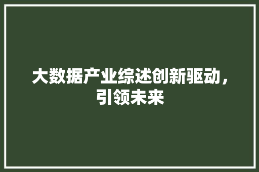 大数据产业综述创新驱动，引领未来