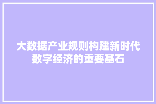 大数据产业规则构建新时代数字经济的重要基石