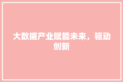 大数据产业赋能未来，驱动创新