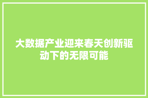 大数据产业迎来春天创新驱动下的无限可能