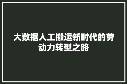 大数据人工搬运新时代的劳动力转型之路