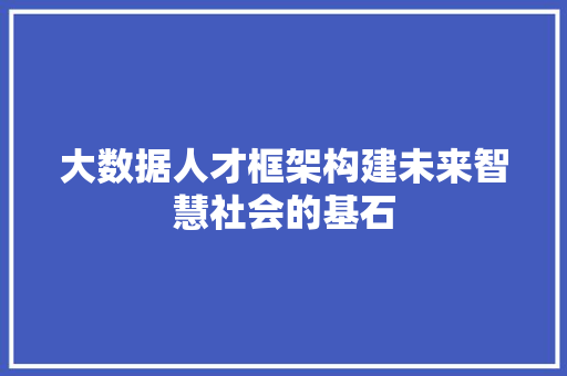大数据人才框架构建未来智慧社会的基石