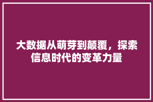 大数据从萌芽到颠覆，探索信息时代的变革力量